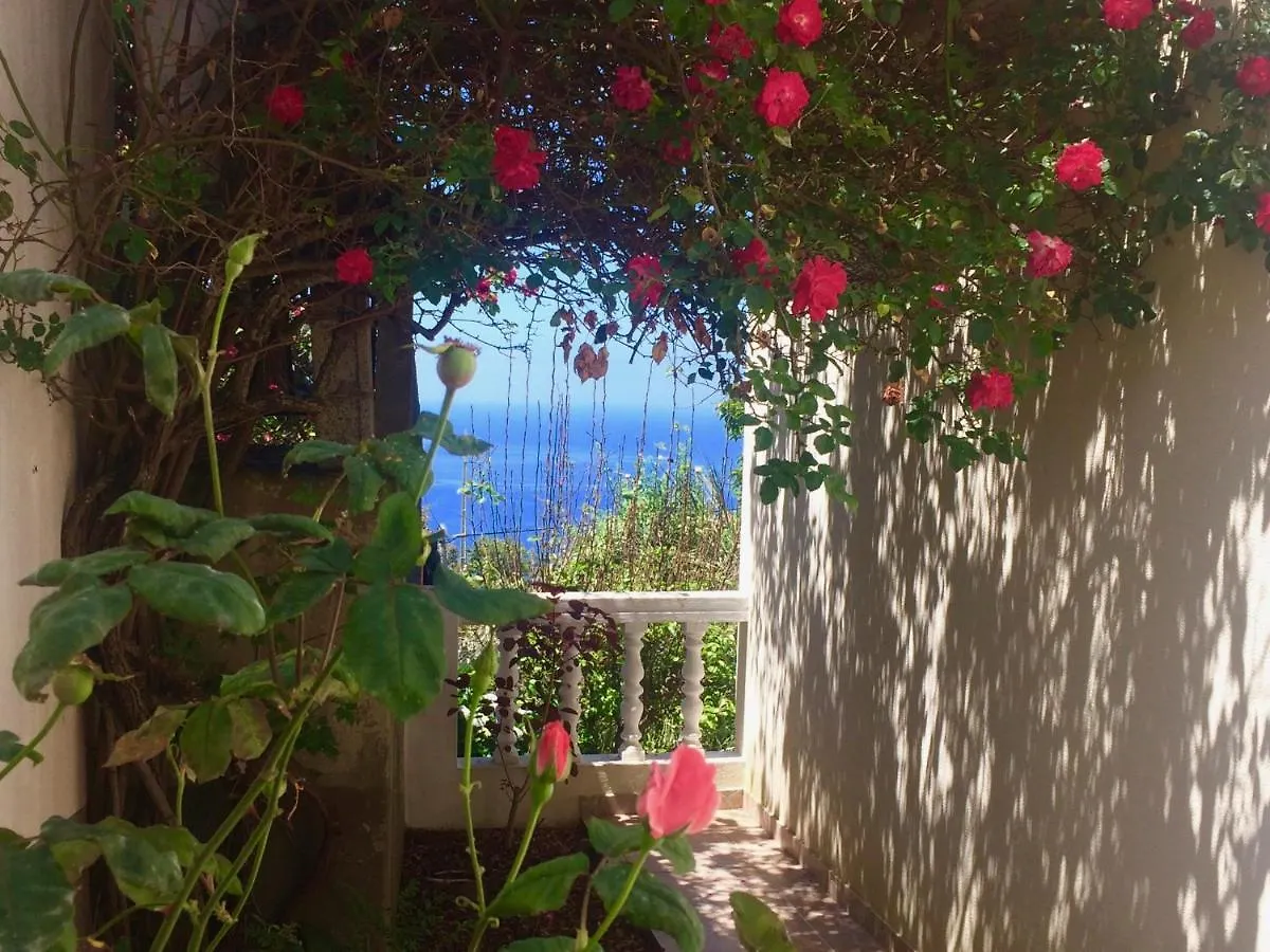 Villa Murphy Estreito Da Calheta Feriehus